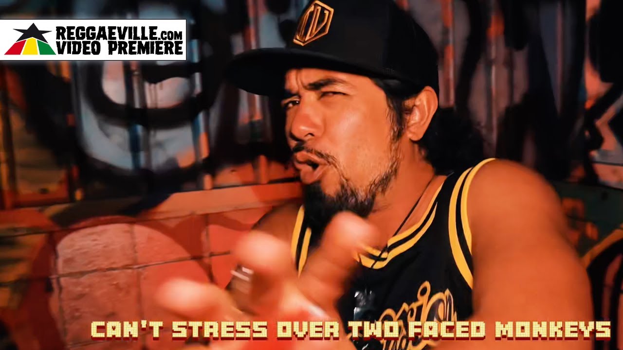 Inna Vision - Don't Stress [Official Video 2023] - YouTube