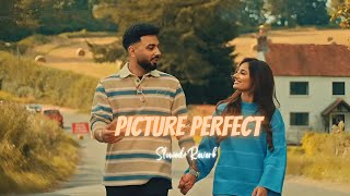 Picture Perfect ( Slowed + Reverb ) - Navaan Sandhu