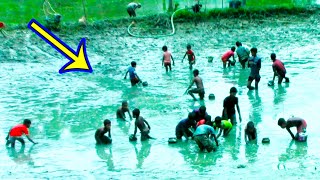 Best Hand Fishing - Village Boy and Girls Fish Catching in Mud Water by Hand | VillageExclusive
