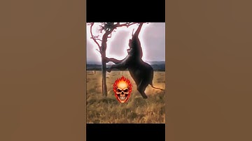 When Even Elephants Try to Climb Trees 🐘🌳