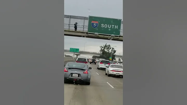 San Diego's "Don Quixote" - Mariachi Style!