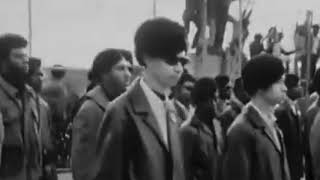 Black Veterans Project IndieGoGo Reel