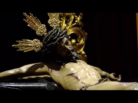 Real, Ilustre y Fervorosa Hermandad Sacramental de la Pura y Limpia Concepción de la Santísima Virgen María, Ánimas Benditas del Purgatorio y Cofradía de Nazarenos del Santísimo Cristo de la Salud, María Santísima del Refugio, Santa Cruz, Nuestra Señora del Patrocinio, Santa Bárbara y San Bernardo