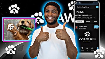 Paws Airdrop Mystery Quest Solved! Claim Your 5,000 $PAWS Reward Now