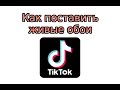 Как поставить живые обои из Тик Тока