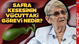 Safra Kesesi Ne İşe Yarar? Canan Karatay'dan Kolesterol ve Safra Kesesi Açıklaması