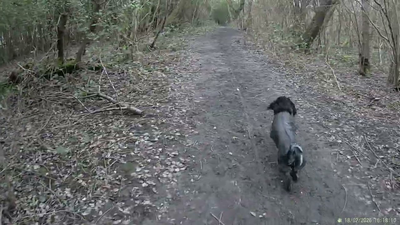 Walkies 18 2 26