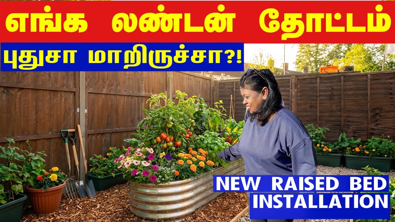 🪴எங்க லண்டன் வீட்டு தோட்டமே மாறிபோச்சு/Big garden bed installation in our garden/இலங்கை கத்தரி கறி