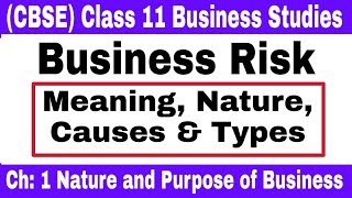 Video #11 || Business Risk Meaning, Nature, Causes & Types || Class 11 Business Studies ||