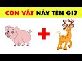 Đố Hình Bắt Chữ | Cà Rốt Khoa