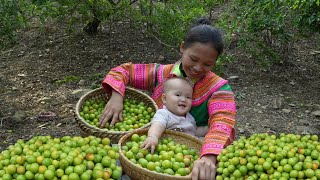 180 Days - The Life of a 17-Year-Old Single Mother, Harvesting, Going to the Market by Ly Tieu Ca  195,346 views 7 days ago 1 hour, 26 minutes