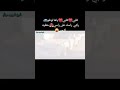 شيخ شيوخ العجال قلبي قلبي ياها لوطو ركبي راسك علي راسي حطيه كرسي العجال و الحكومة العاقلة شيخ شيوخ العجال قلبي قلبي ياها لوطو ركبي راسك علي راسي حطيه كرسي العجال و الحكومة العاقلة