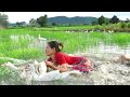 Women run to catch white ducks in the field to cook for a dogs -Strong women know how to catch ducks