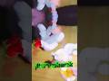 Ramzan Mubarak#viral#shortvideo#MohammadRukshadrazaofficial