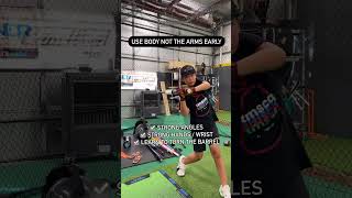 Celebrity Pro Velocity Bat drill work #turnthebarrel #tightturns #hittingdoneright #hittingdrills Profile