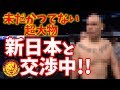 新日本プロレスにかつてないほどの大型選手が参戦を希望しているらしい！WWEやAEWからも狙われる超大物選手とは？
