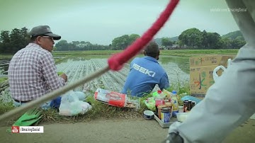 Cách người nhật trồng lúa - Nông nghiệp công nghệ cao