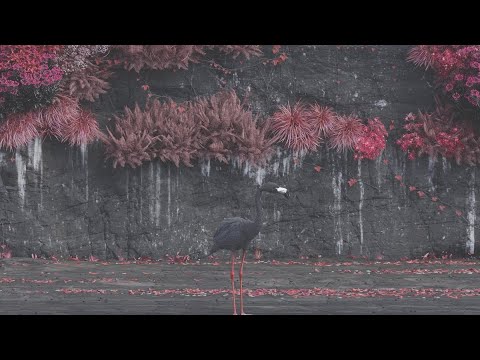 Look To Windward - Sleep Token (isolated vocals)