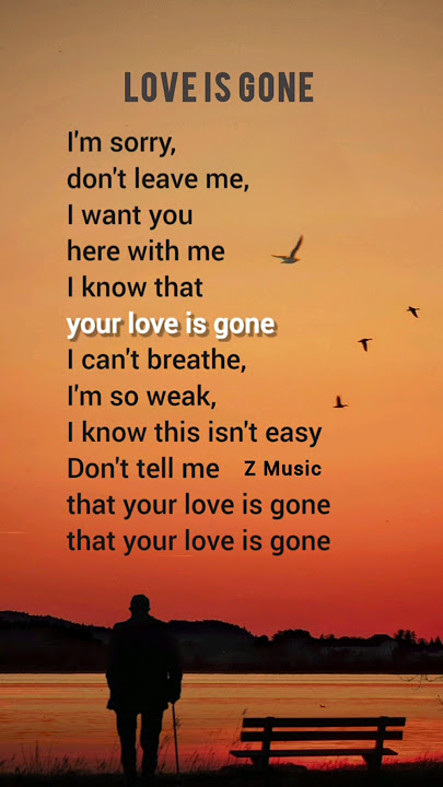 SLANDER  ft. Dylan Matthew - Love is Gone #lyrics (Acoustic)I'm sorry, don't leave me #songlyrics