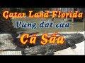 Gator Land - Vùng đất của cá Sấu Florida (Cuộc sống Mỹ - Vlog 147)