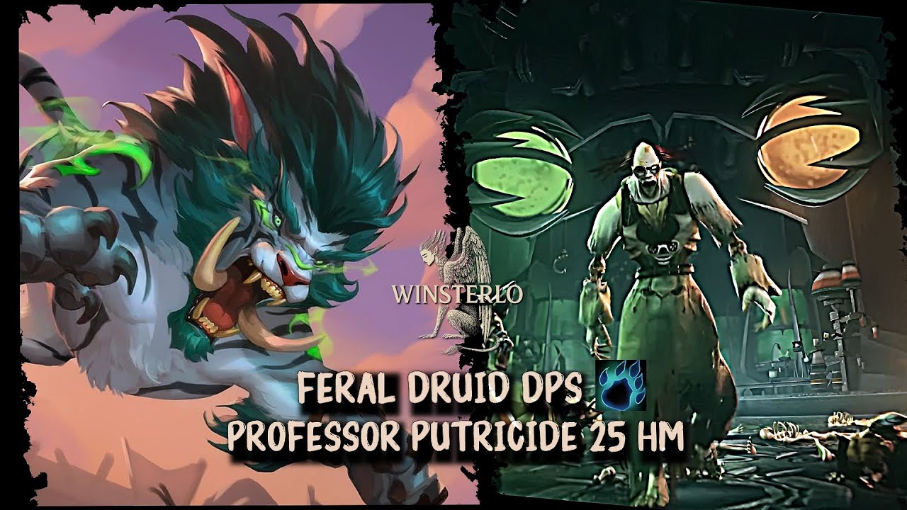 PROFESSOR PUTRICIDE 25 HM - FERAL DRUID DPS  -  WOTLK (ENG/ESP) ICC MECANICS