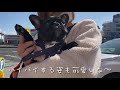 #144 BUHI PINchan 2021.2.14 ぴんちゃんとベランダでBBQ