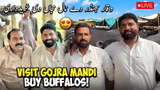 Cattle Marcket | Gojra Mandi | Waqar Bhinder | Live Bargaining | Nasir Dhillon  