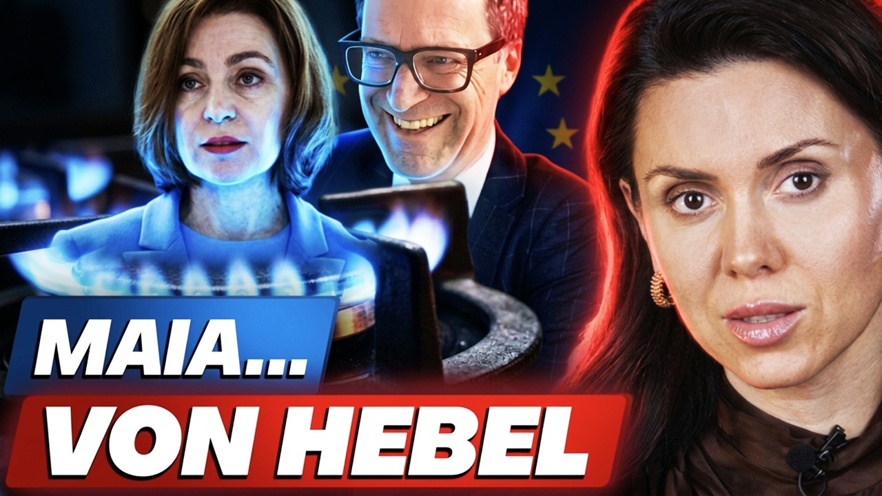 Hebel, băgat pe gât. Independenți de creier. Stare de alertă