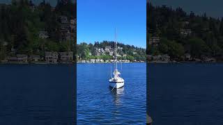 Boat Anchored on Lake Washington: Serene Views