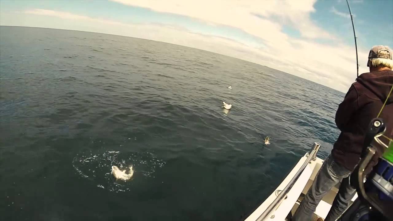 Hart UK Saltwater Jigging YouTube