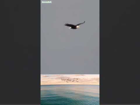 نرمى ولا يهمنا 