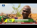 Villagers Rush Into Digging FOr Gold In Malawi |Network Africa|