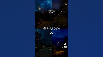 #اكسبلور #يارب #لايك راحه نفسيه قران كريم🫀🎧 #حالات_واتس