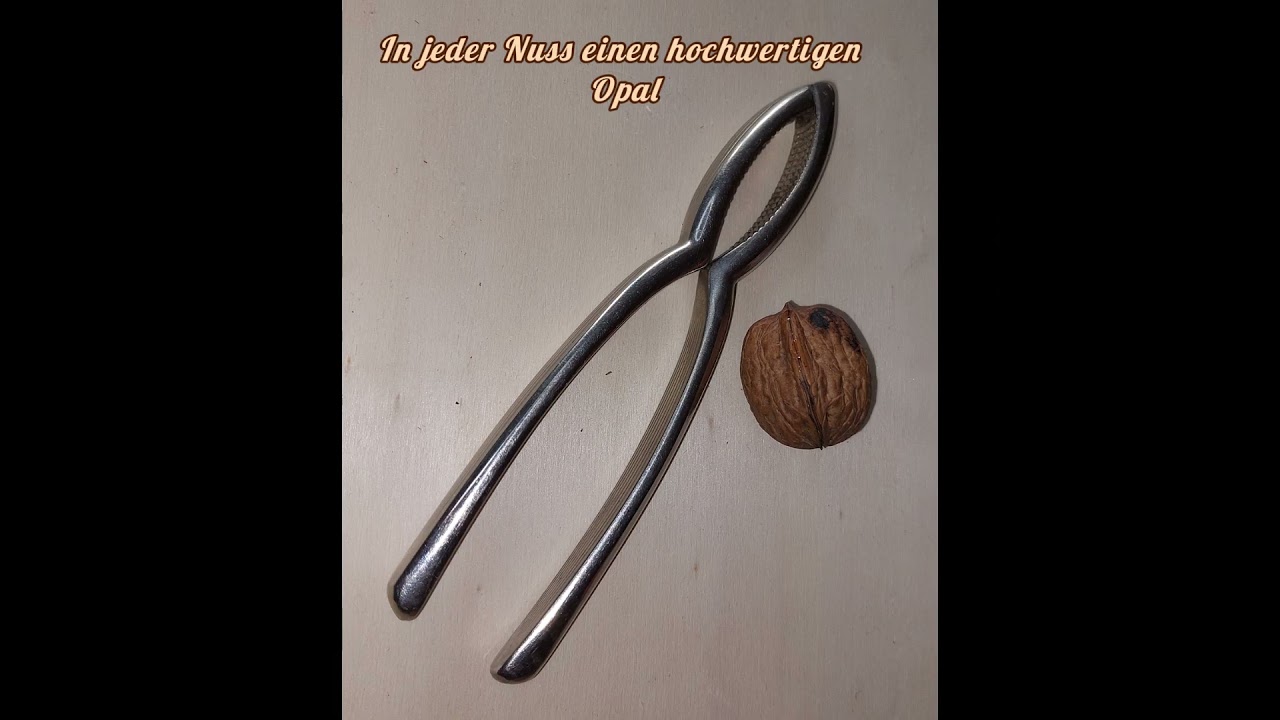 Nussopale- Knack Mich