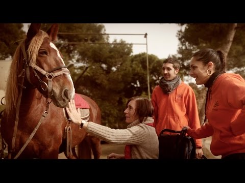 Vídeo: Què Ens Aportarà L’Any Del Cavall? Horòscop Del