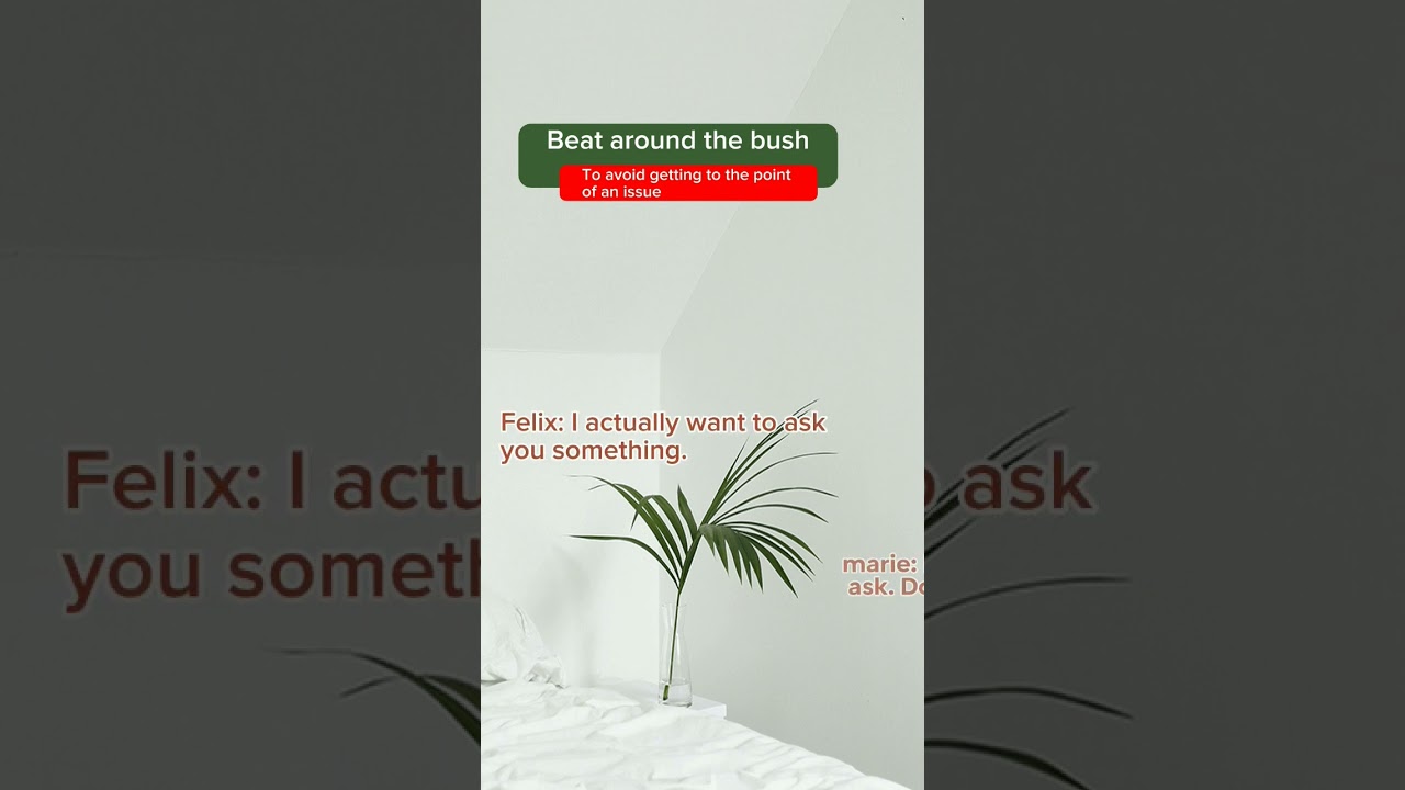 beat around the bush | idiom | common English expression