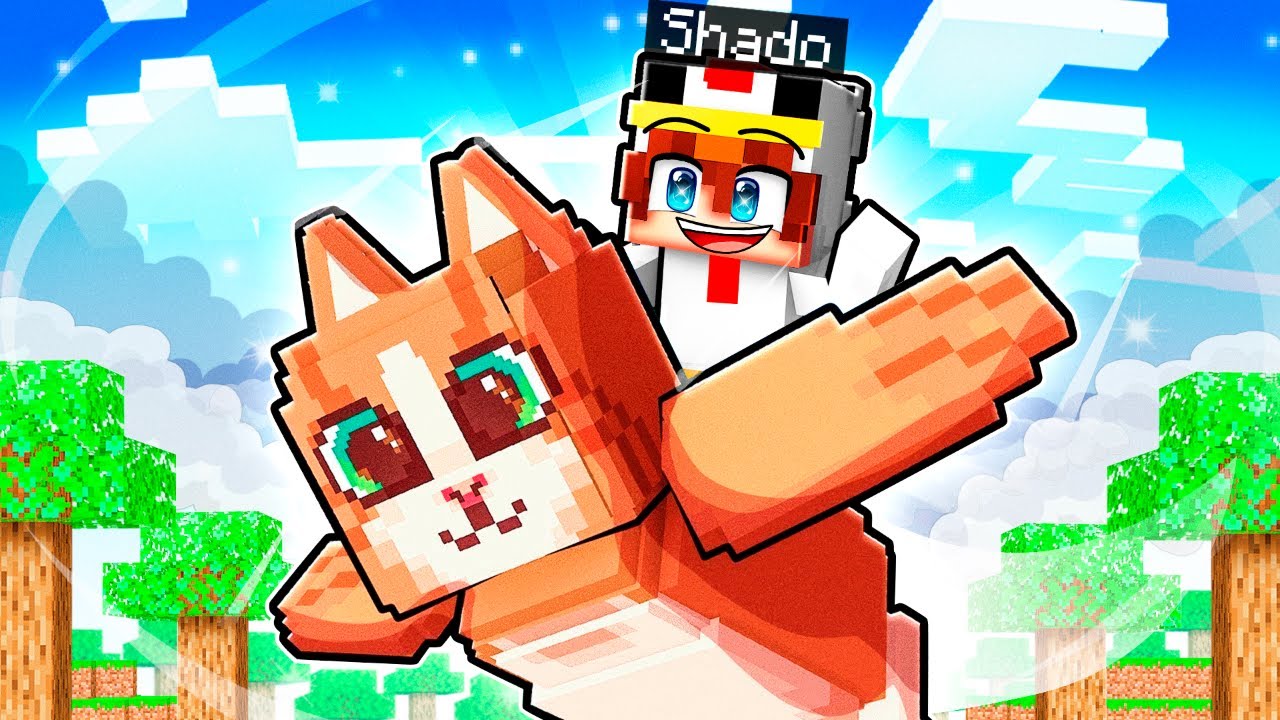 J'ai été choisie par le MEOWL sur Minecraft !