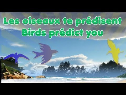 Vidéo: Signes Intéressants Sur Les Oiseaux