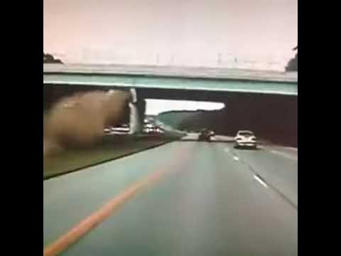 I crashed my car into the bridge (REMASTERED) 