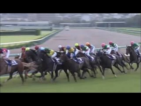 2016/06/26 第57回 宝塚記念（GⅠ）【マリアライト】