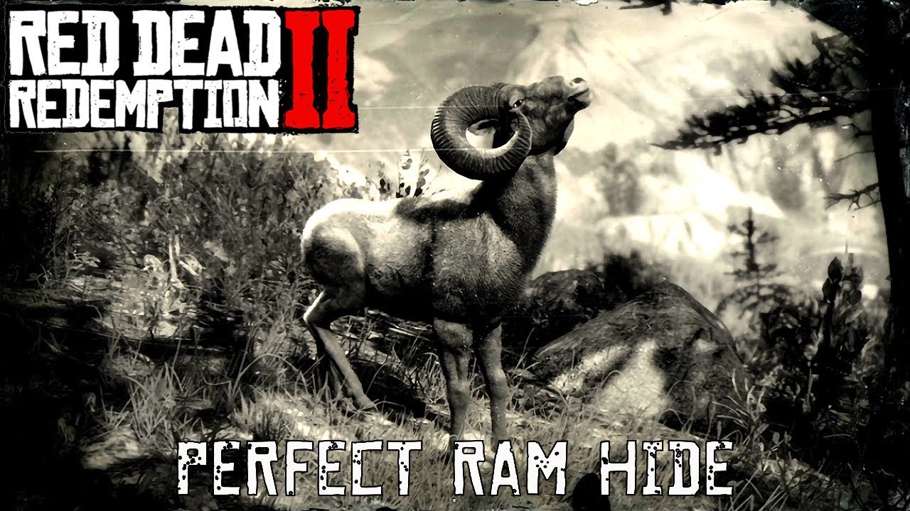 Engel tag Tigge Red Dead Redemption 2 - Perfect Ram Hide - YouTube