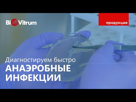 Видео: S epidermidis аэробный или анаэробный?