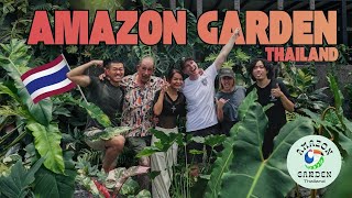 Amazing Collection Of Monstera Species & So Much More At Amazon Garden Thailand