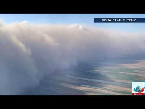 Video: Devorador De Polen De Daguestán: Una Tormenta De La Cosecha