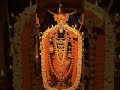 JAI TIRUPATI BALAJI 🧿🙏🪬#tirupatibalaji #tirumala #tirupati #seekingblessings #bhakti