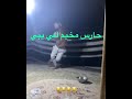 حارس مخيم يلعب كونغ فو 