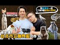 終於跟台北動物園合作了!(無政治立場無業配)跟台北市長一起了解9種動物行為學!蔣萬安居然怕蛇?蘭嶼豬可以找松露?浣熊為何會常洗手?【許伯簡芝】球蟒!狐猴!狐獴!葵花鳳頭鸚鵡!羊駝!迷你馬!雞!