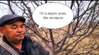 Атадан балага бак калат.Кунарсыз жерди бакка айланткан багбан менен маек. Атадан балага бак калат.Кунарсыз жерди бакка айланткан багбан менен маек.