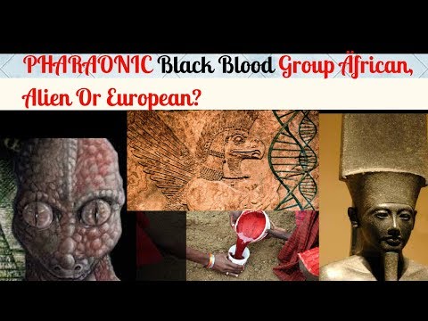 pharaonic-black-blood-group:-Äfrican,-alien-or-european?