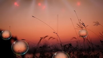 Seaboard Covers - Ave Maria (Schubert)